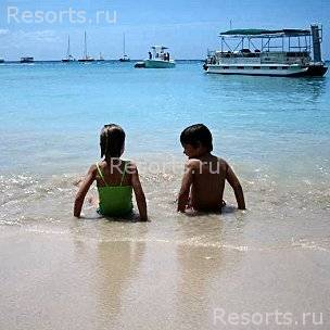 Coral Reef Club 32